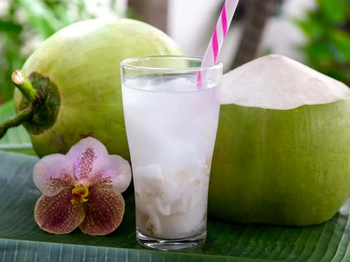 Es Kelapa Muda SM: Penyegar Rasa Cilacap yang Tak Pernah Pudar